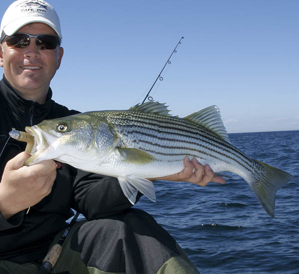 Fliegenfischen auf Redfish